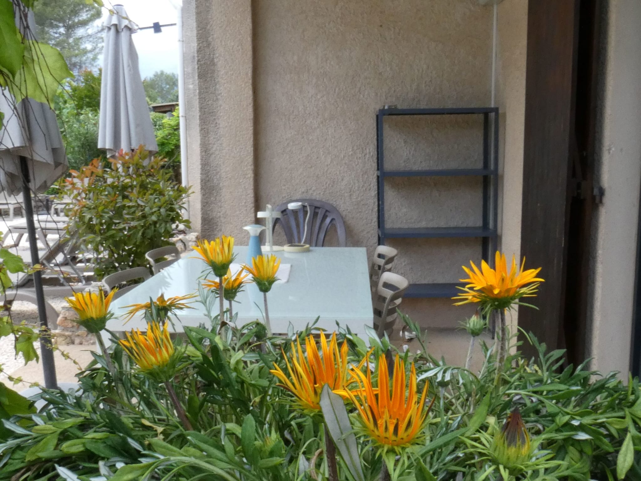 La Treille — photo 3